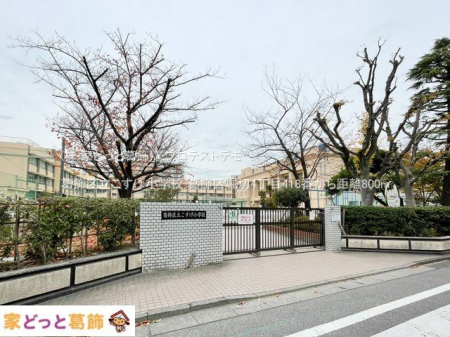 ���ӊ� �����旧���������w�Z �B�e��(2023-12-05) 800m