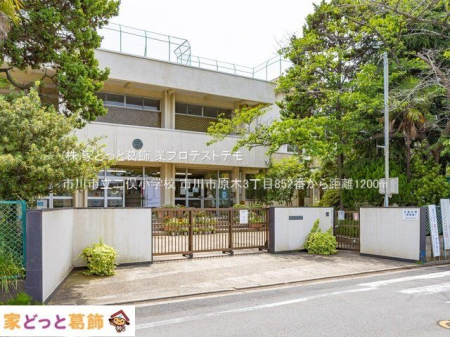 ���ӊ� �s��s���񖓏��w�Z �B�e��(2022-06-01) 1200m