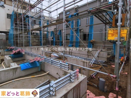 ���n�O�ώʐ^ �B�e��(2026-03-03 00:00:00)