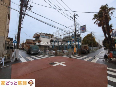 ���n�O�ώʐ^ �B�e��(2026-03-03 00:00:00)