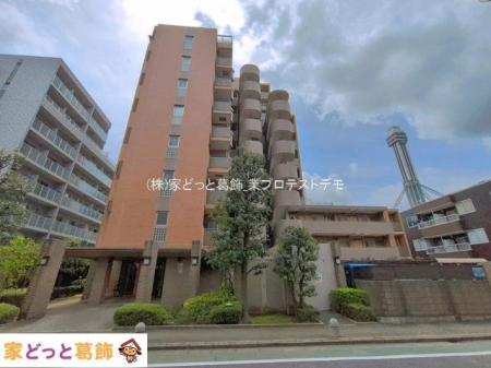 ���n�O�ώʐ^ �B�e��(2026-04-09)