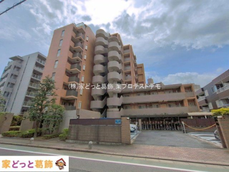 ���n�O�ώʐ^ �B�e��(2026-04-09 00:00:00)