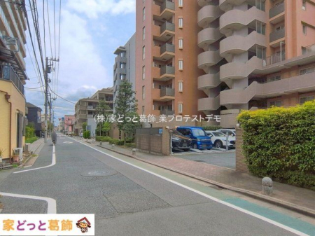 ���n�O�ώʐ^ �B�e��(2026-04-09 00:00:00)