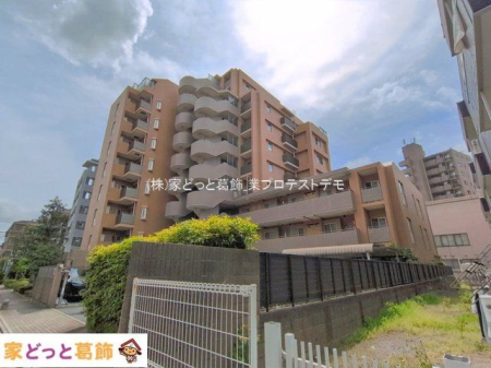 ���n�O�ώʐ^ �B�e��(2026-04-09 00:00:00)