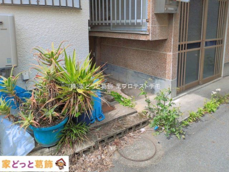 ���n�O�ώʐ^ �B�e��(2026-04-13 00:00:00)