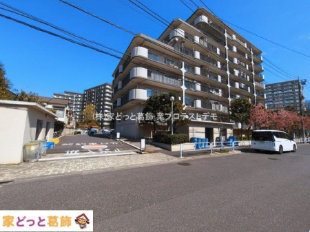 ���n�O�ώʐ^ �B�e��(2026-03-09 00:00:00)