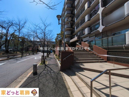 �G���g�����X �B�e��(2026-03-09 00:00:00)