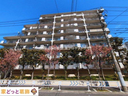 ���n�O�ώʐ^ �B�e��(2026-03-09 00:00:00)