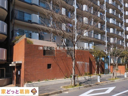 ���n�O�ώʐ^ �B�e��(2026-03-09 00:00:00)