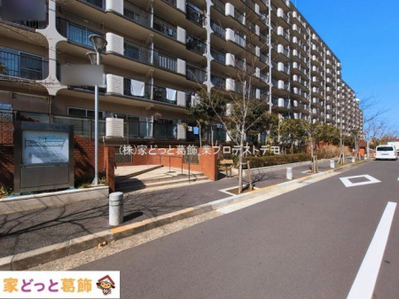 ���n�O�ώʐ^ �B�e��(2026-03-09 00:00:00)