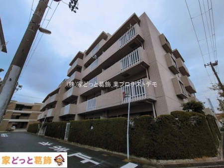 ���n�O�ώʐ^ �B�e��(2026-03-19 00:00:00)