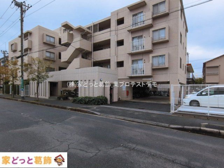 ���n�O�ώʐ^ �B�e��(2026-03-19 00:00:00)