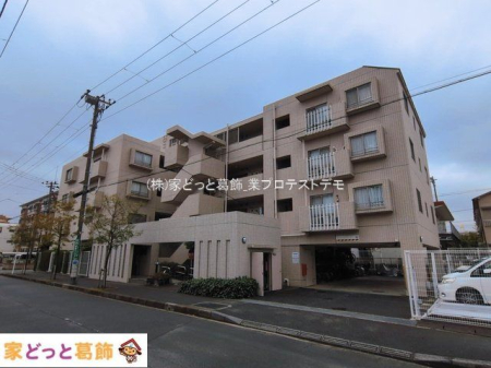 ���n�O�ώʐ^ �B�e��(2026-03-19 00:00:00)