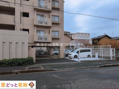 ���n�O�ώʐ^ �B�e��(2026-03-19 00:00:00)