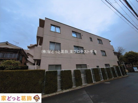 ���n�O�ώʐ^ �B�e��(2026-03-19 00:00:00)