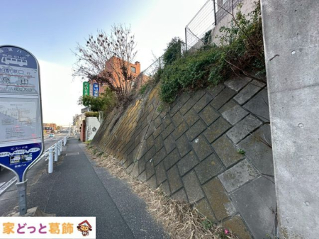 ���̑� ���L����