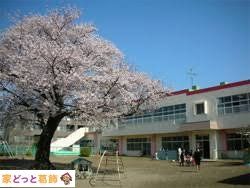 ���ӊ� ����ۈ牀 �k��3���B 230m