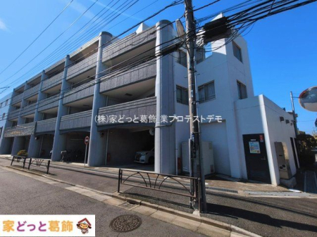 ���n�O�ώʐ^ �B�e��(2026-03-11)