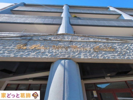 ���n�O�ώʐ^ �B�e��(2026-03-11 00:00:00)