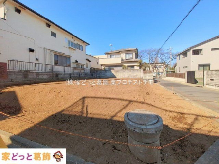 ���n�y�n�ʐ^ �B�e��(2026-02-04 00:00:00)