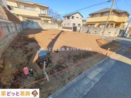 ���n�y�n�ʐ^ �B�e��(2026-02-04 00:00:00)