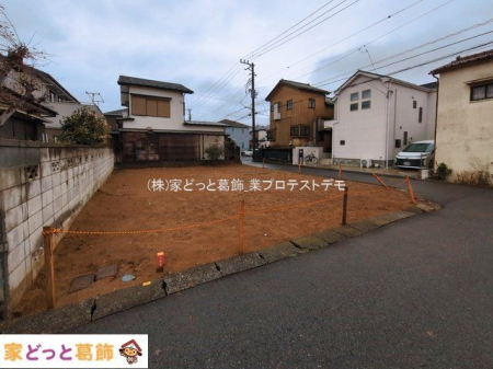 ���n�y�n�ʐ^ �B�e��(2026-03-04)