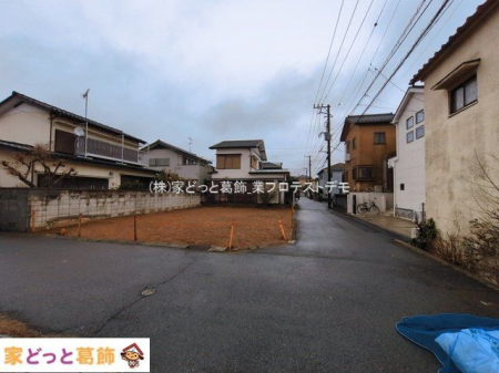 ���n�y�n�ʐ^ �B�e��(2026-03-04)