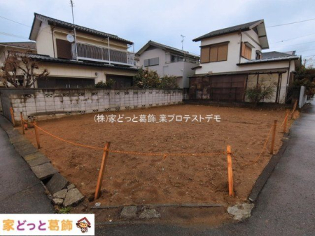 ���n�y�n�ʐ^ �B�e��(2026-03-04 00:00:00)