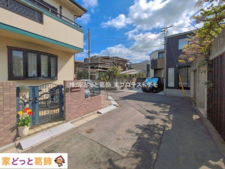 ���n�y�n�ʐ^ �B�e��(2026-04-09 00:00:00)