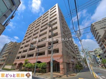 ���n�O�ώʐ^ �B�e��(2026-04-16 00:00:00)