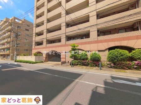 ���n�O�ώʐ^ �B�e��(2026-04-16 00:00:00)