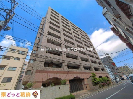 ���n�O�ώʐ^ �B�e��(2026-04-16 00:00:00)