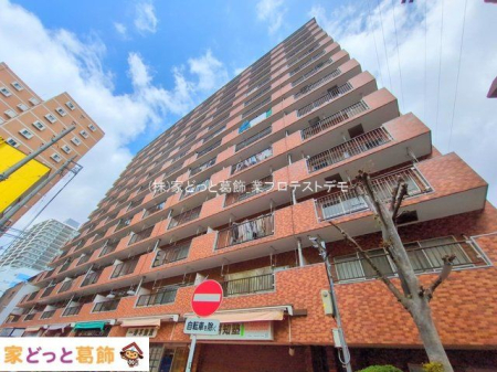 ���n�O�ώʐ^ �B�e��(2025-04-14)