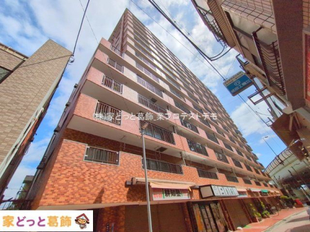 ���n�O�ώʐ^ �B�e��(2025-04-14 00:00:00)