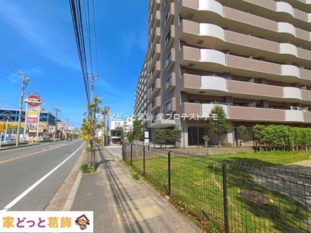 ���n�O�ώʐ^ �B�e��(2026-04-17 00:00:00)