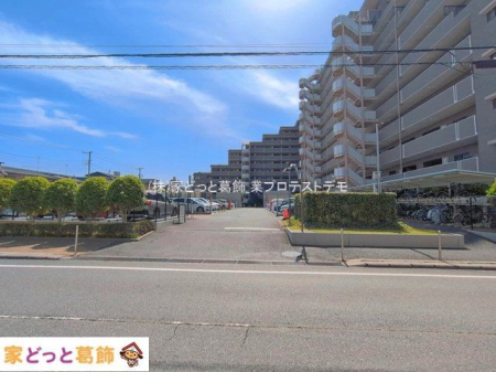 ���n�O�ώʐ^ �B�e��(2026-04-17 00:00:00)