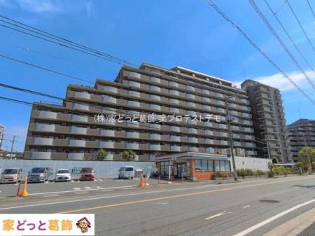 ���n�O�ώʐ^ �B�e��(2026-04-17)