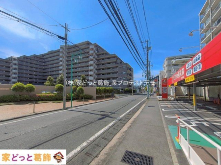 ���n�O�ώʐ^ �B�e��(2026-04-17 00:00:00)