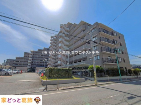 ���n�O�ώʐ^ �B�e��(2026-04-17 00:00:00)