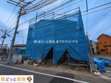 ���n�O�ώʐ^ �B�e��(2026-03-17 00:00:00)