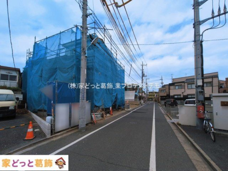 ���n�O�ώʐ^ �B�e��(2026-03-17 00:00:00)