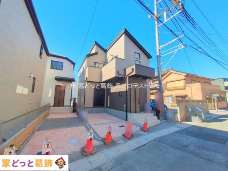 ���n�O�ώʐ^ �B�e��(2025-12-04 00:00:00)