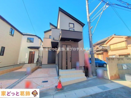 ���n�O�ώʐ^ �B�e��(2025-12-04 00:00:00)