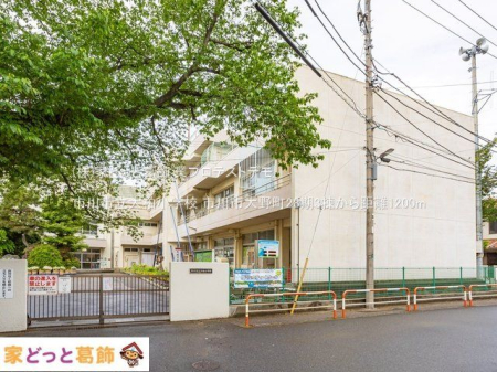 ���ӊ� �s��s���唐���w�Z �B�e��(2022-04-27) 1200m