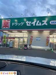 ���ӊ� �k��15���B�h���b�O�Z�C���X������s�����X 1180m