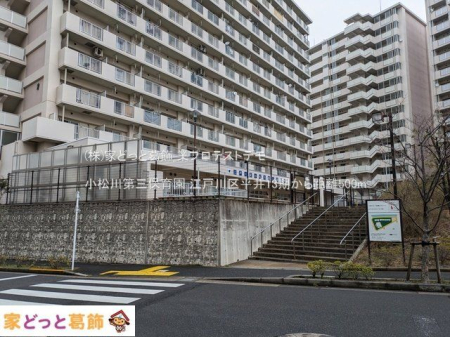 ���ӊ� �������O�ۈ牀 �B�e��(2025-03-12) 500m