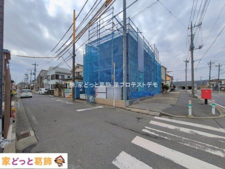 ���n�O�ώʐ^ �B�e��(2026-02-17 00:00:00)