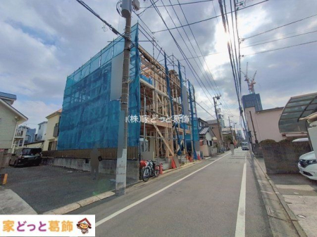 ���n�O�ώʐ^ �B�e��(2026-02-16 00:00:00)