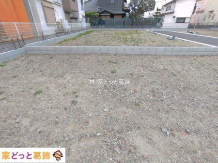 ���n�y�n�ʐ^ �B�e��(2026-03-25 00:00:00)