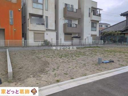 ���n�y�n�ʐ^ �B�e��(2026-03-25)